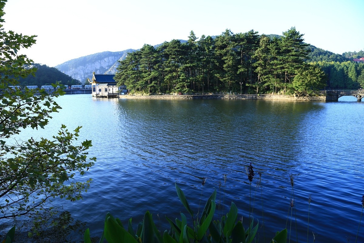 我只是把出去看到的随手记录下来（185）