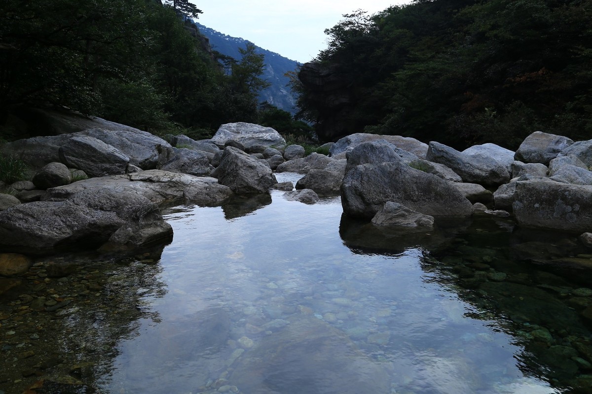 我只是把出去看到的随手记录下来（185）