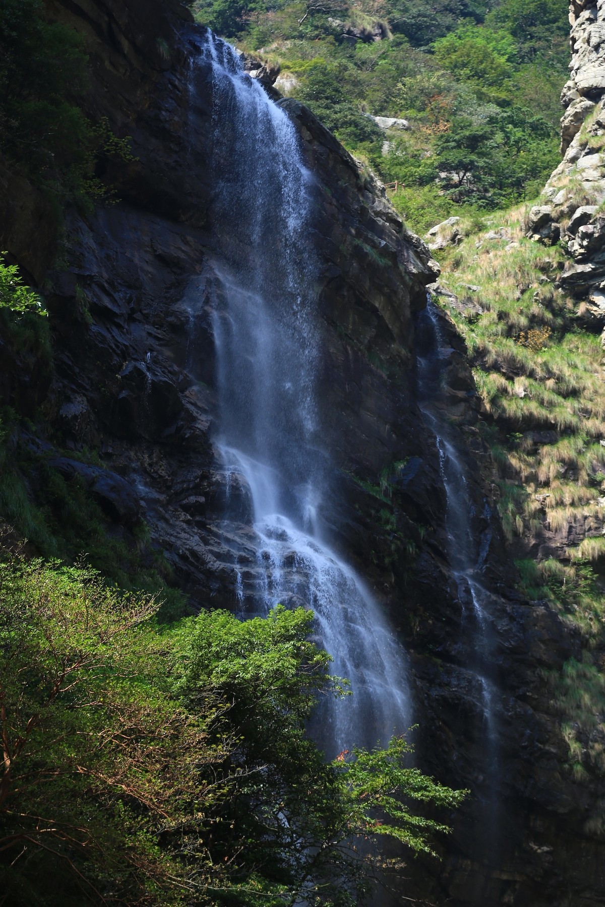 我只是把出去看到的随手记录下来（185）