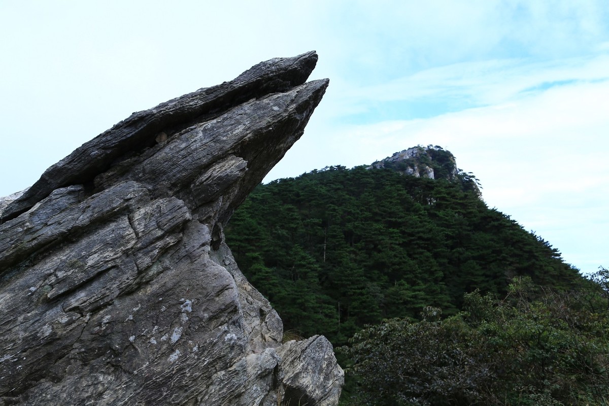 我只是把出去看到的随手记录下来（185）