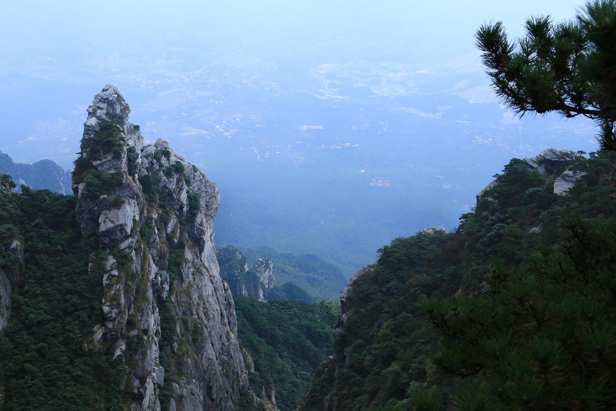 我只是把出去看到的随手记录下来（185）