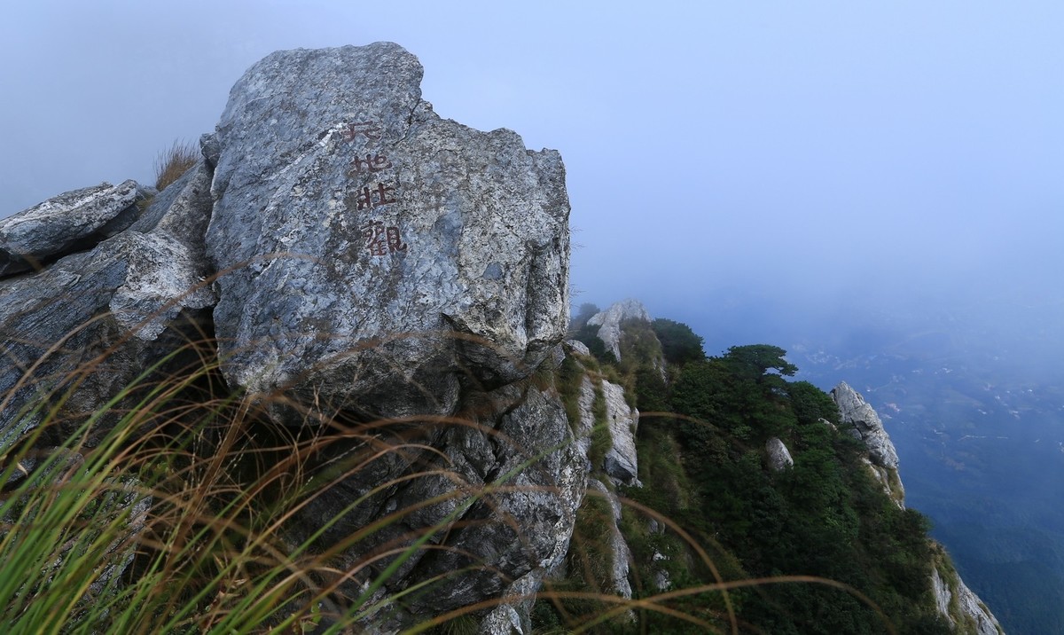 我只是把出去看到的随手记录下来（185）