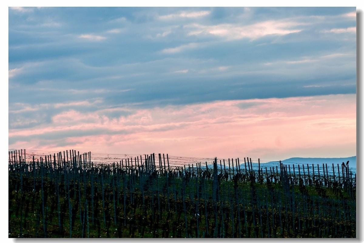村野的黄昏（南德）