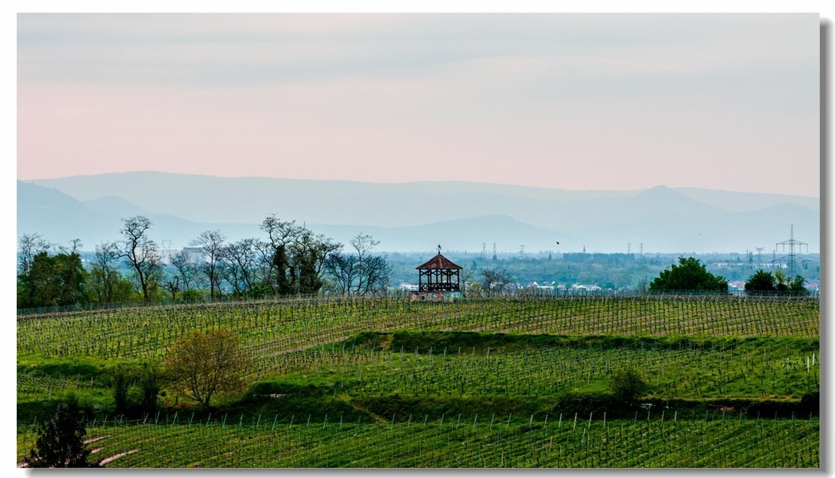 村野的黄昏（南德）