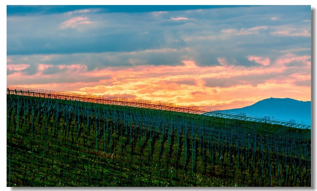 村野的黄昏（南德）