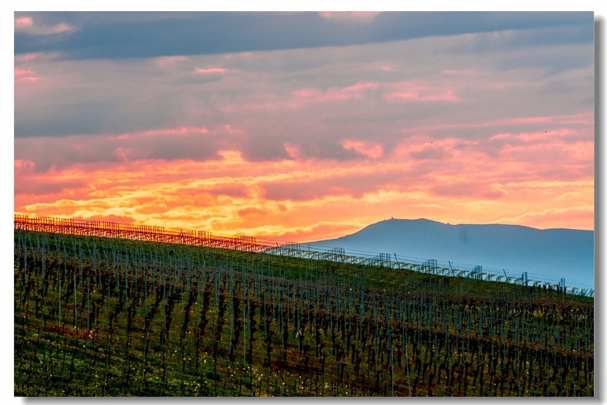 村野的黄昏（南德）