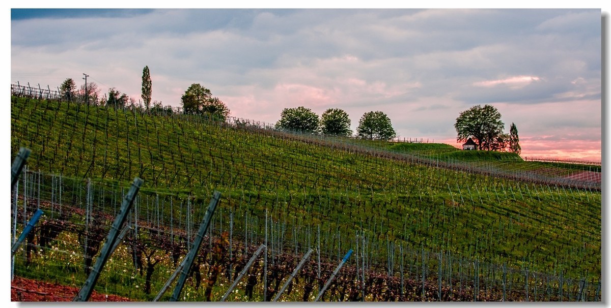 村野的黄昏（南德）