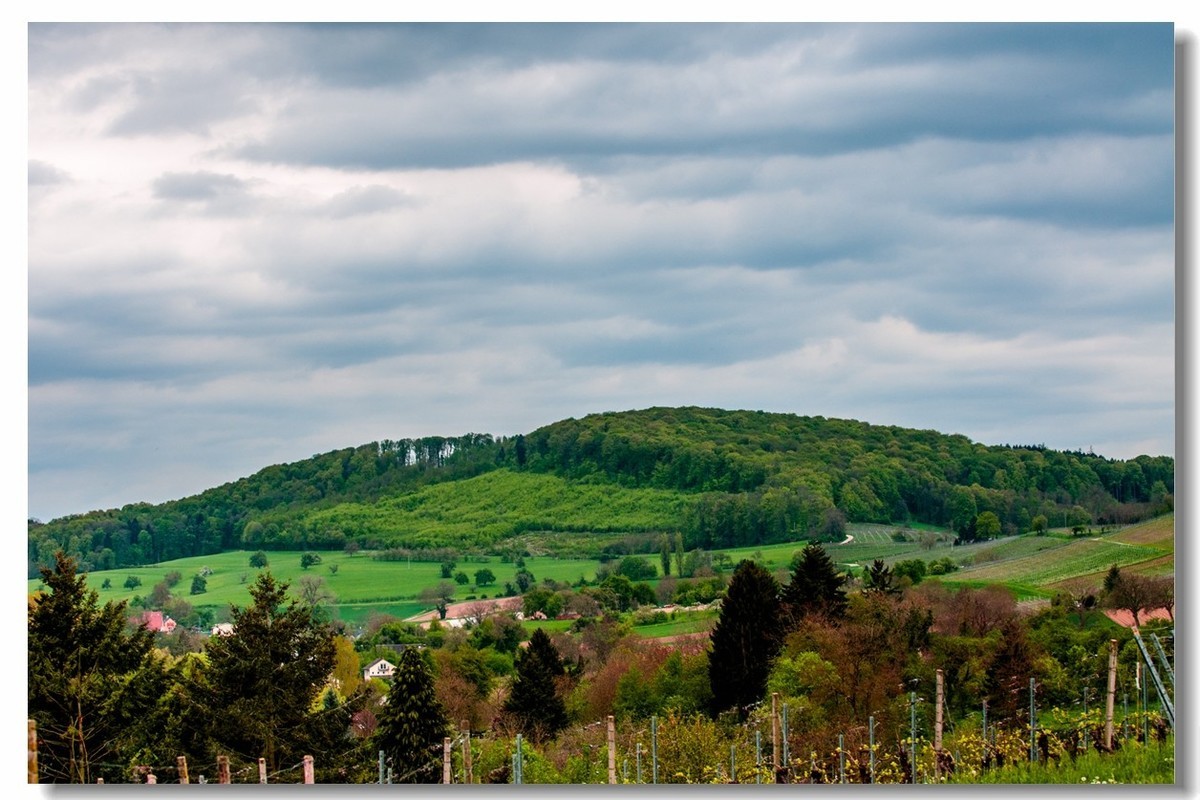 村野的黄昏（南德）