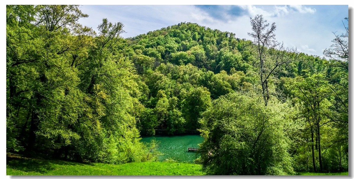 游拍--“Alesheim Sea”