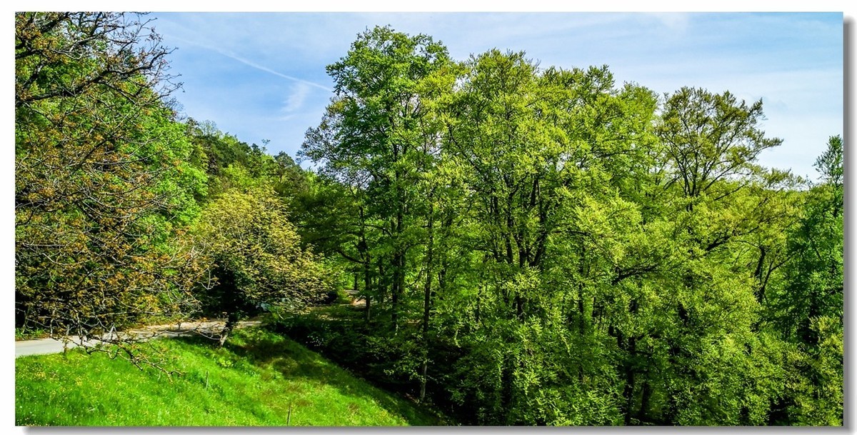 游拍--“Alesheim Sea”