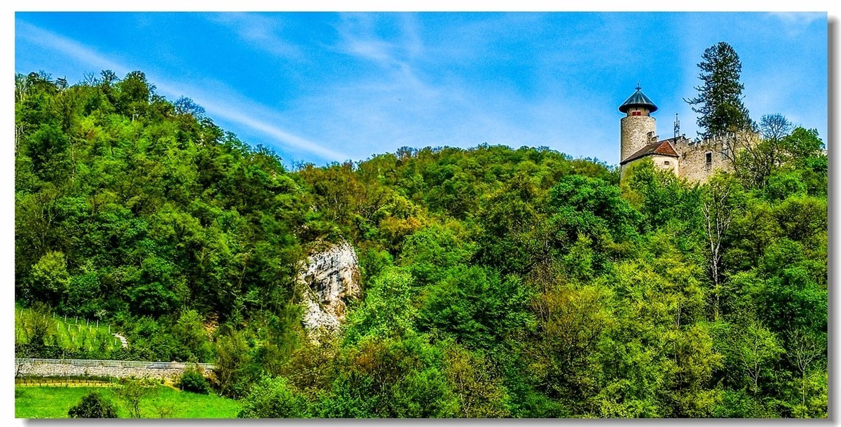 游拍--“Alesheim Sea”