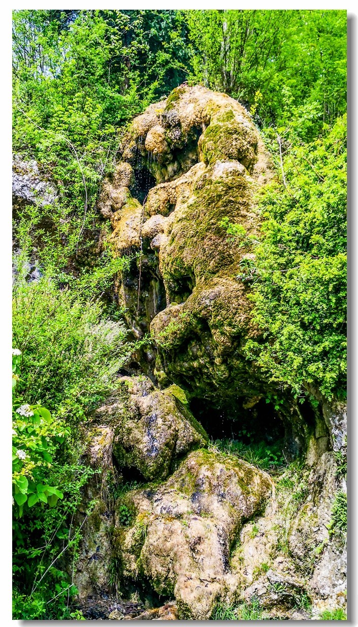 游拍--“Alesheim Sea”