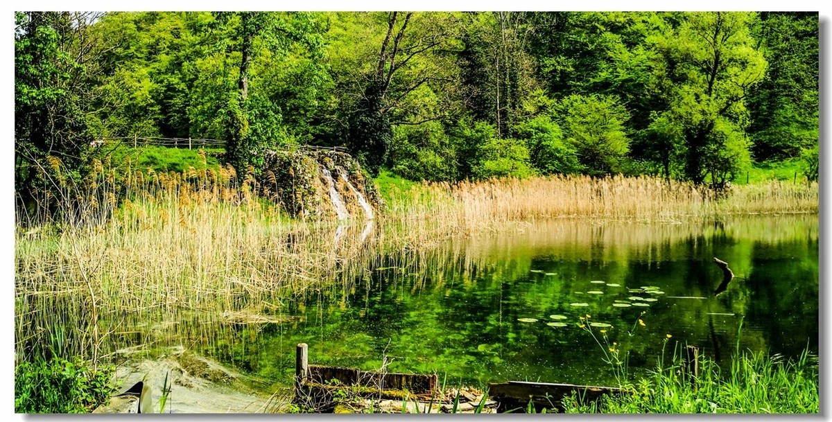 游拍--“Alesheim Sea”