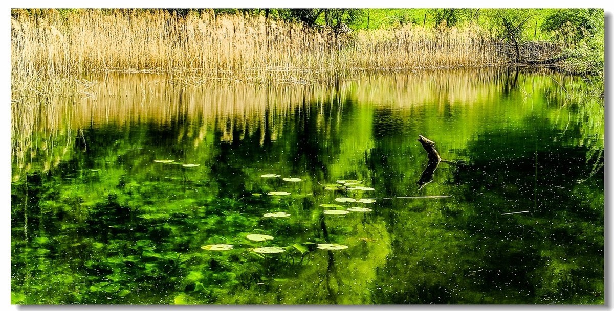 游拍--“Alesheim Sea”