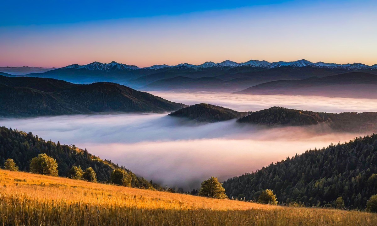 大自然的宁静与和谐令人惊叹