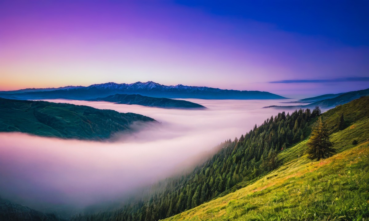 大自然的宁静与和谐令人惊叹