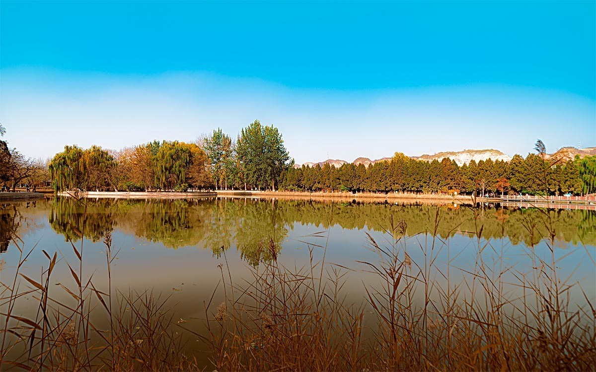 随                                          拍