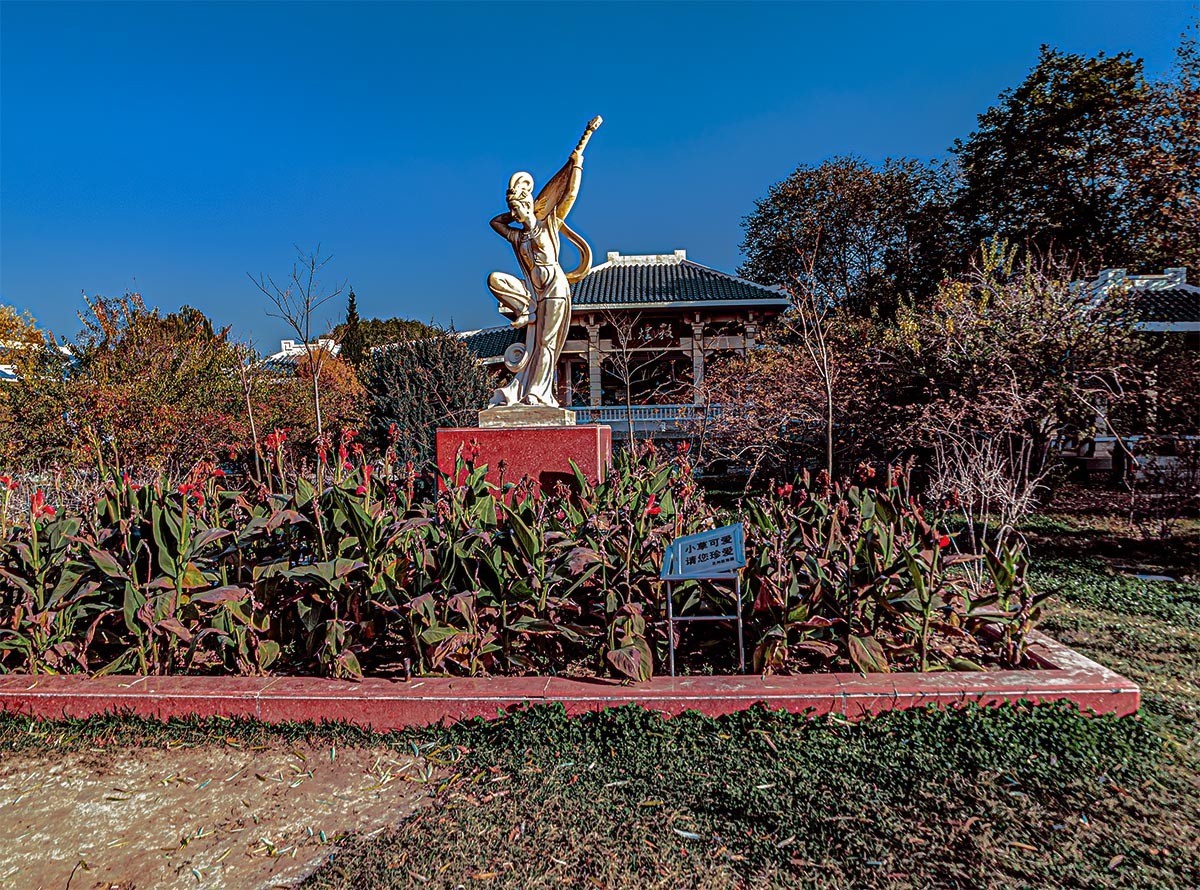 随                                          拍