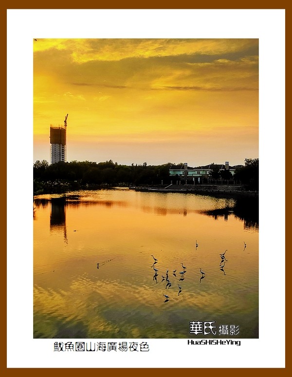 美色辽宁—鲅鱼圈山海广场夜色（营口市鲅鱼圈区）