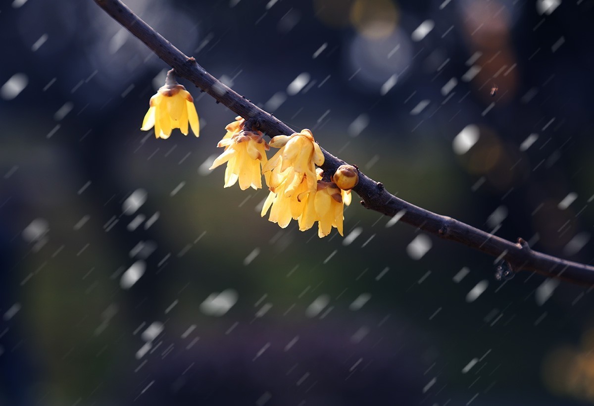 祝各位老师春节愉快！虎年好运！