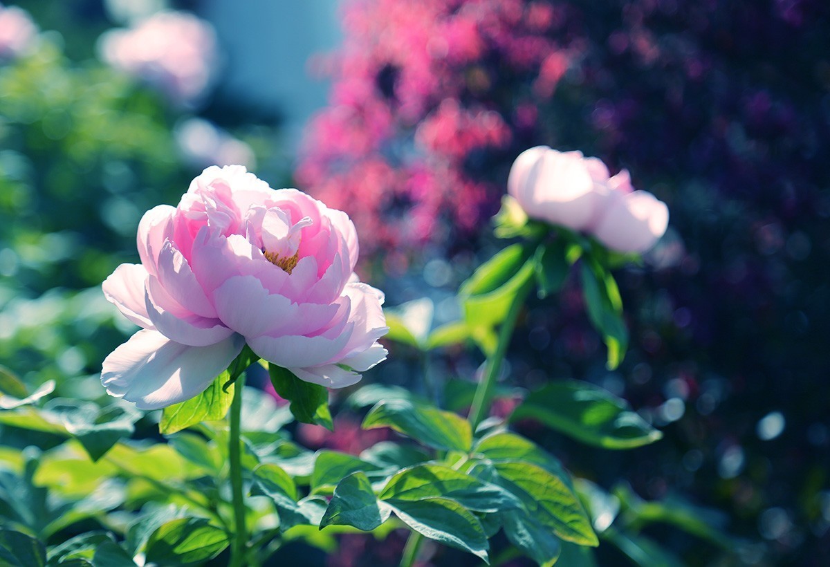 祝各位老师春节愉快！虎年好运！
