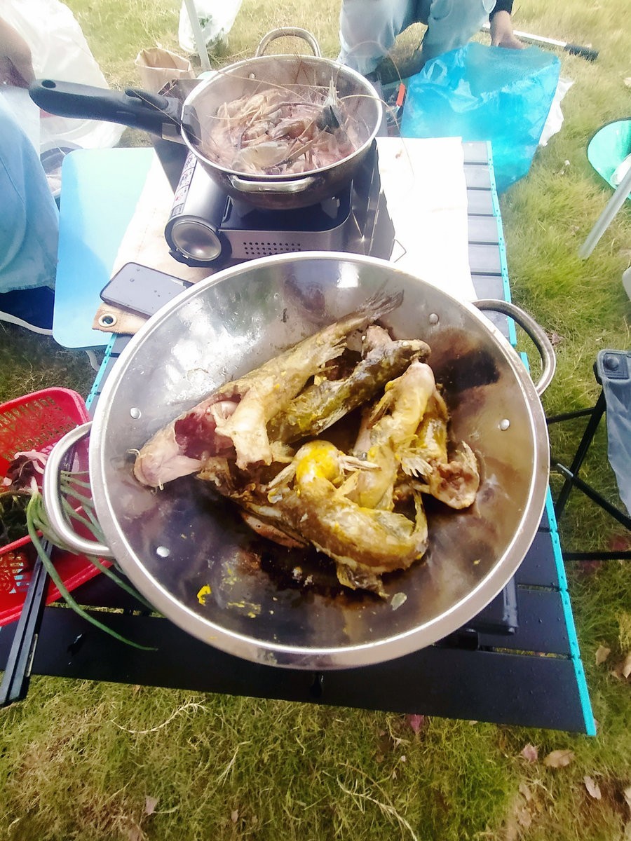 漫步星城 走街串巷（302）湘江落花茅舍晚