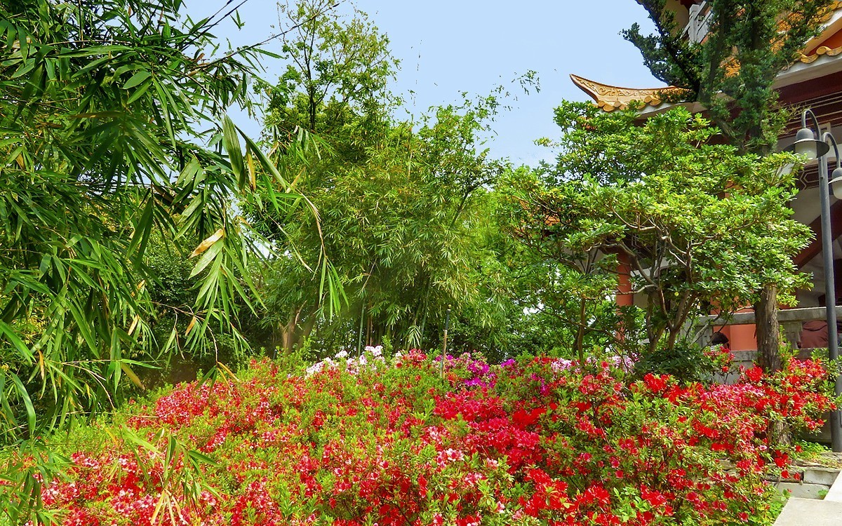 23101 ─ 春游鸿鹄山