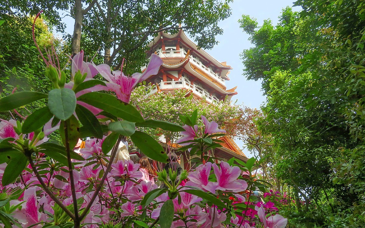 23101 ─ 春游鸿鹄山