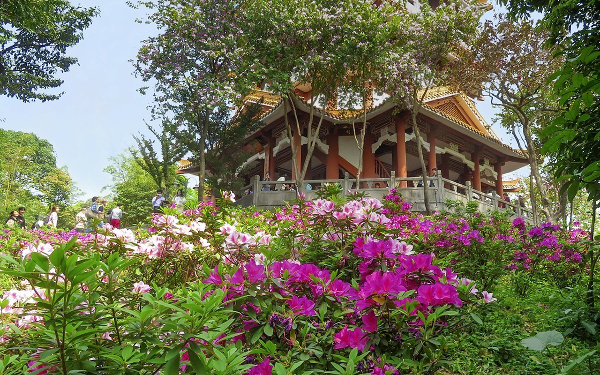 23101 ─ 春游鸿鹄山