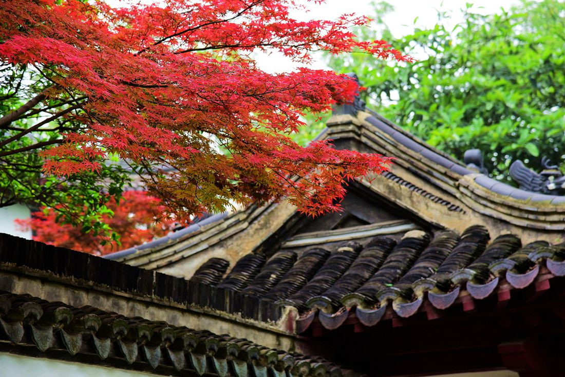 镇江三山之焦山2