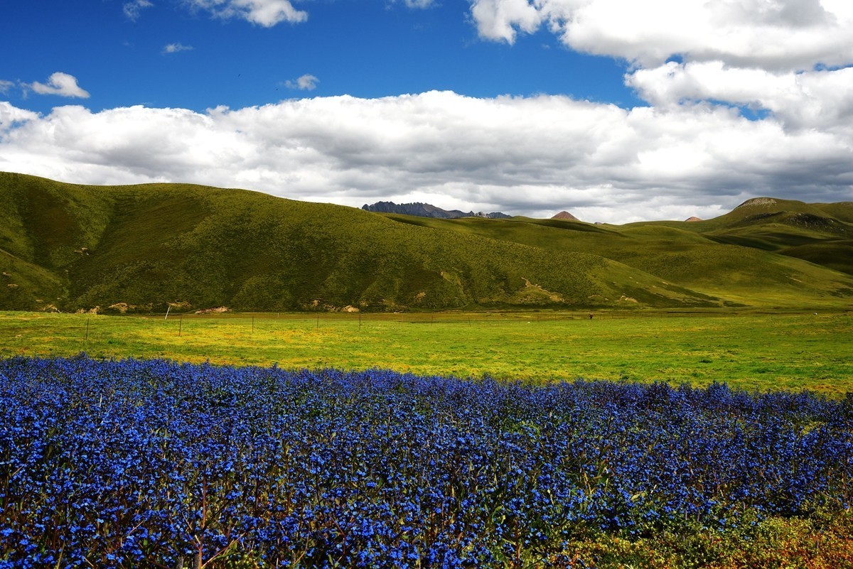 青海路途随拍【久治县】【2】