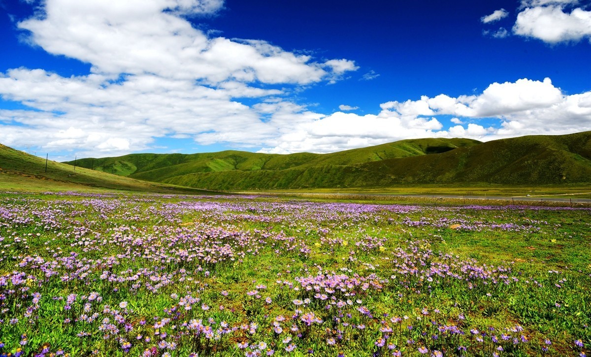 青海路途随拍【久治县】【2】