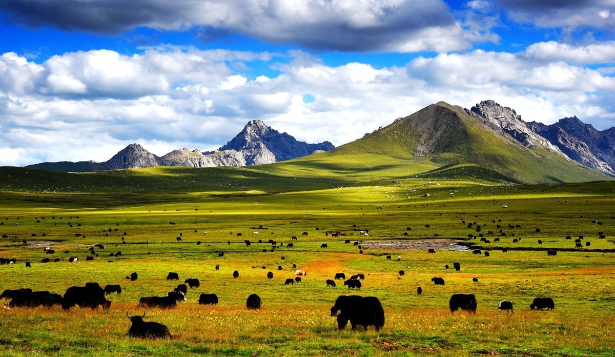 青海路途随拍【久治县】【3】