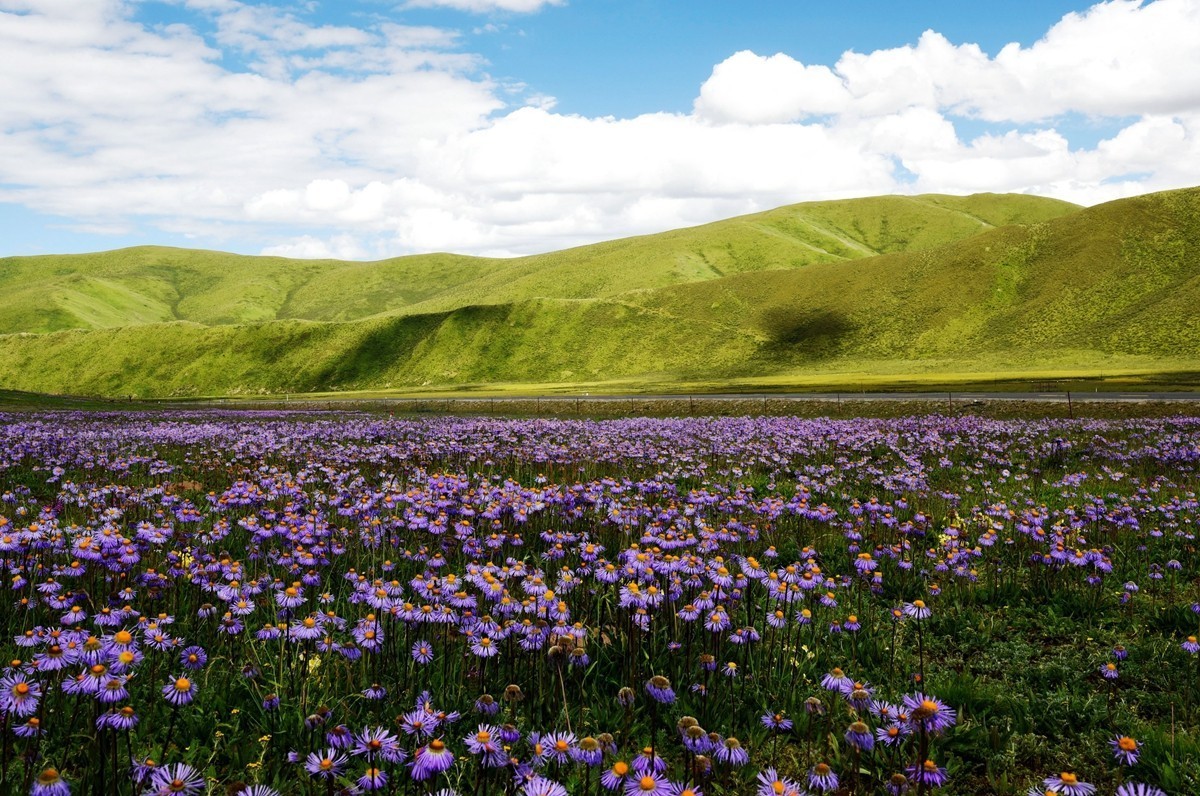 青海路途随拍【久治县】【3】