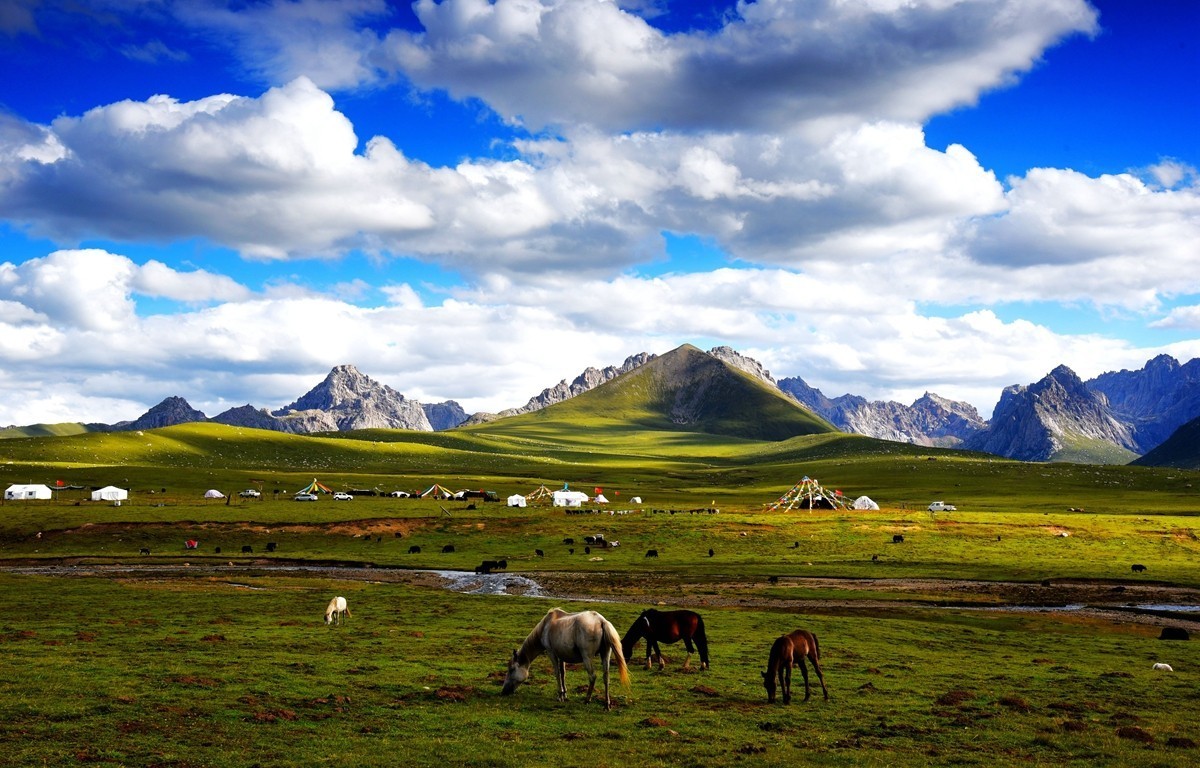 青海路途随拍【久治县】【3】