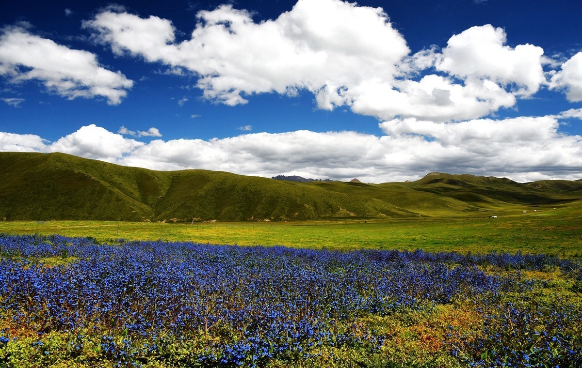 青海路途随拍【久治县】【5】