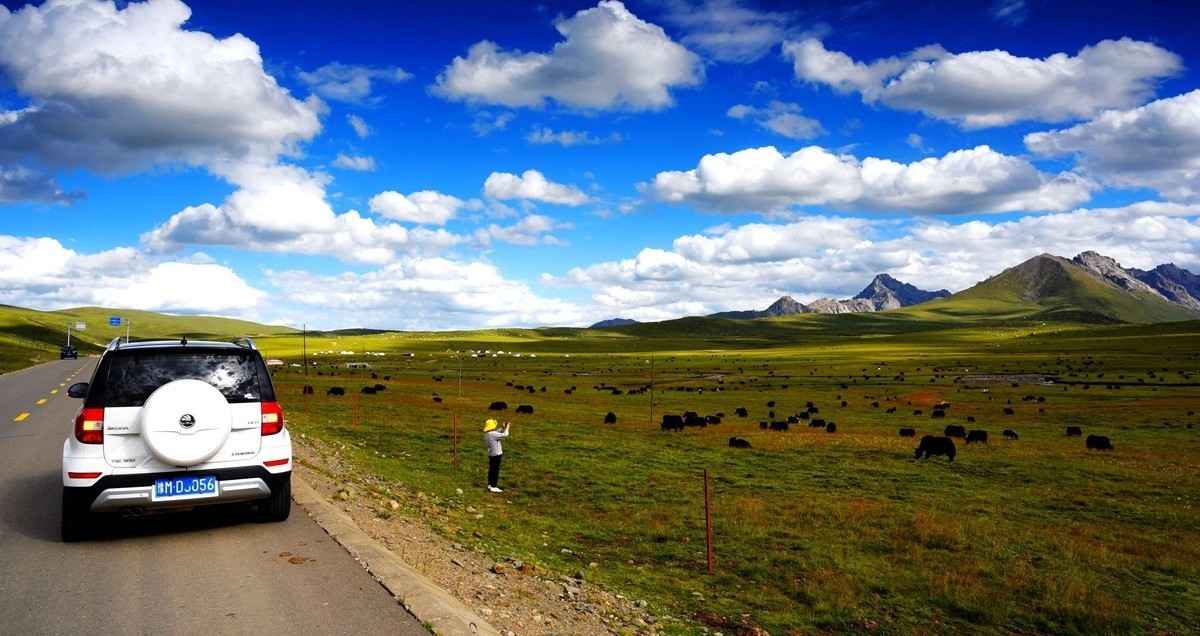 青海路途随拍【久治县】【5】