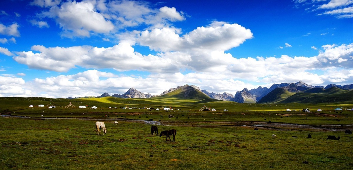 青海路途随拍【久治县】【5】