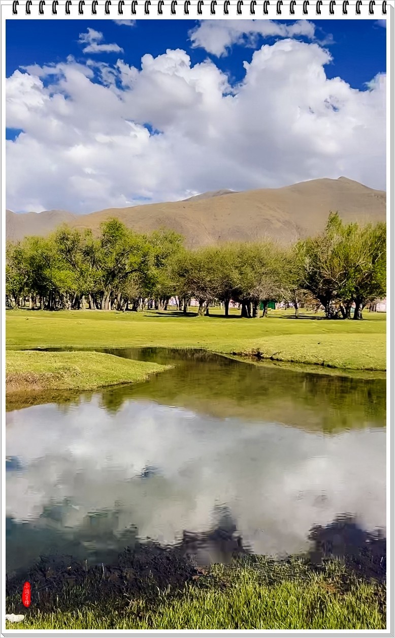 2024年-伊利风光纪实抓拍-0469