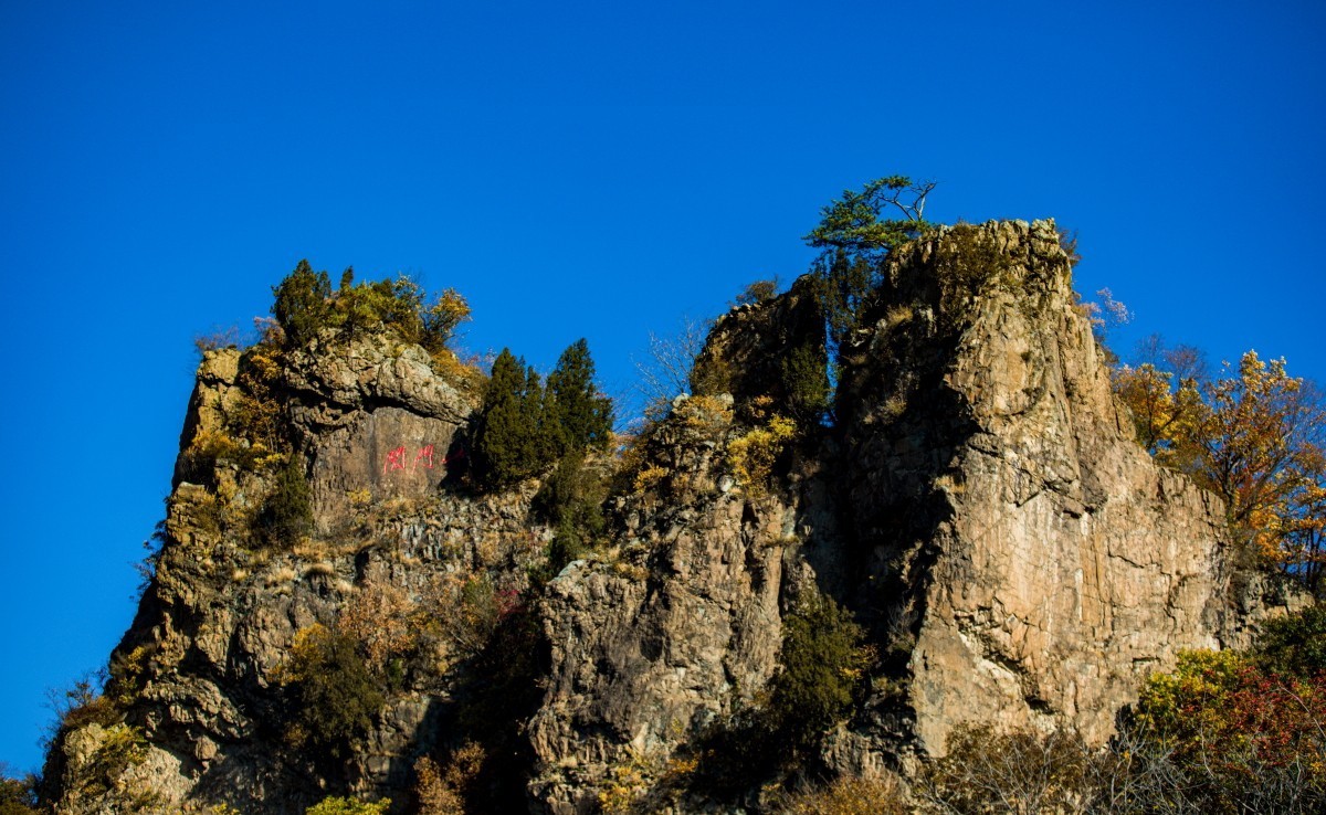 外出随拍（续210）.