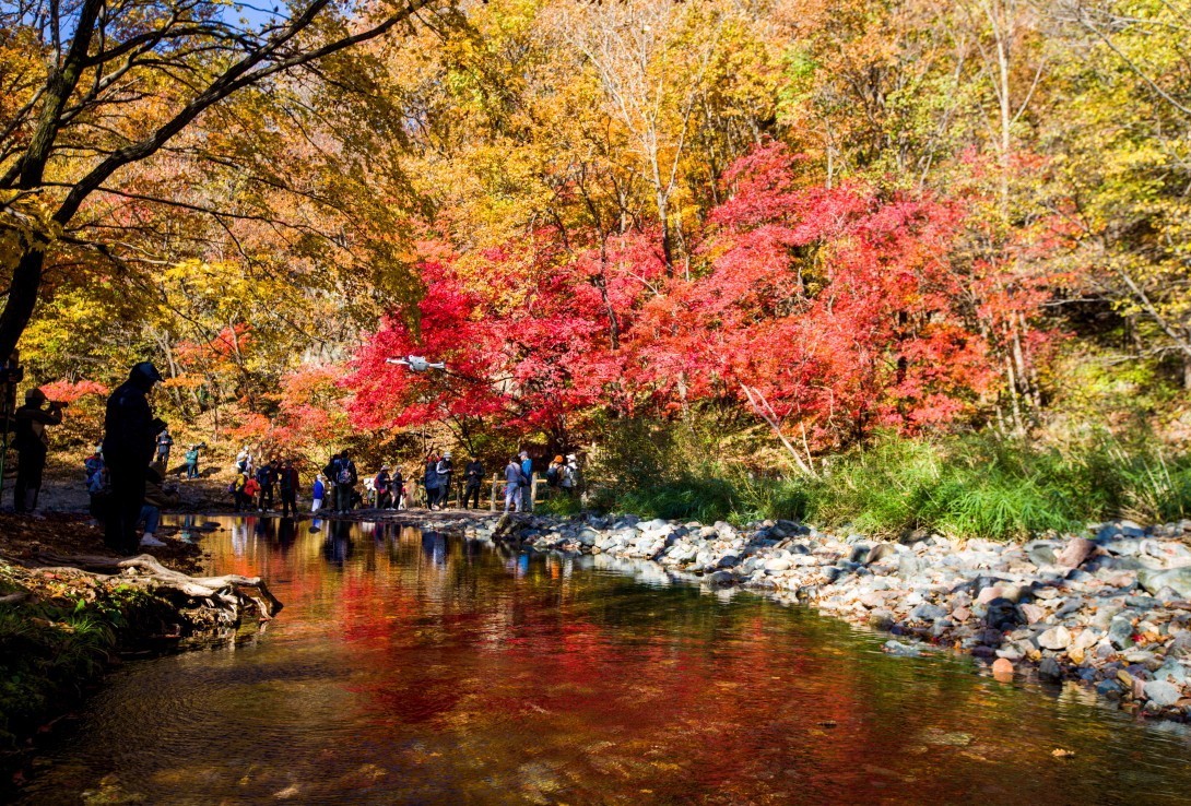 外出随拍（续210）.