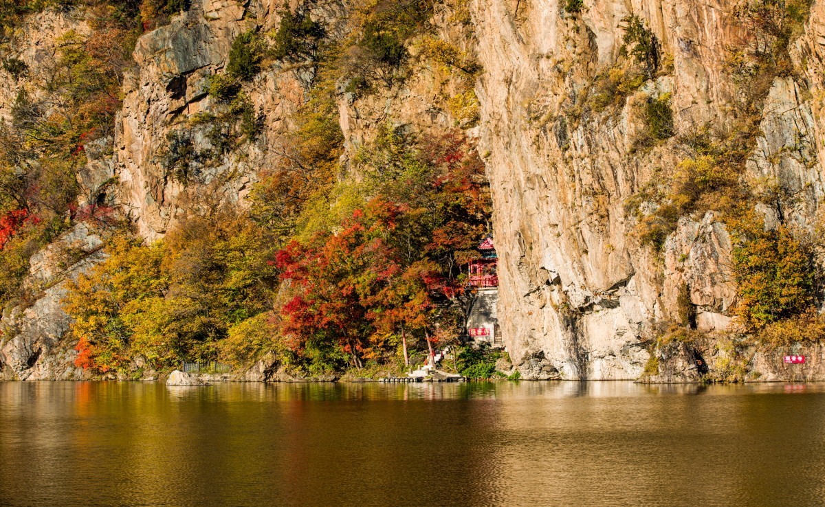 外出随拍（续210）.