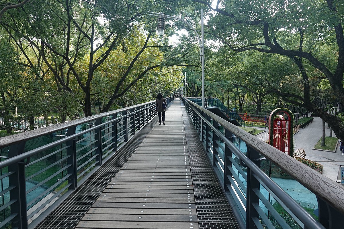 徐汇公园游拍