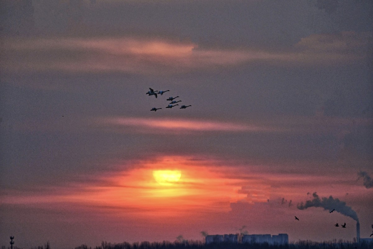 朝阳映照沉沙池