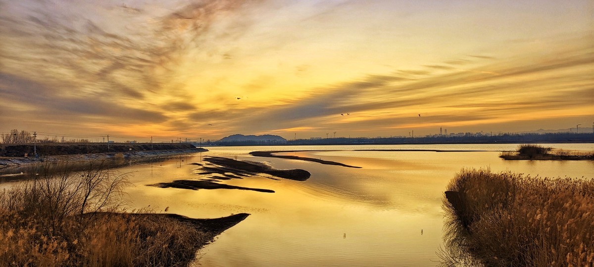 朝阳映照沉沙池
