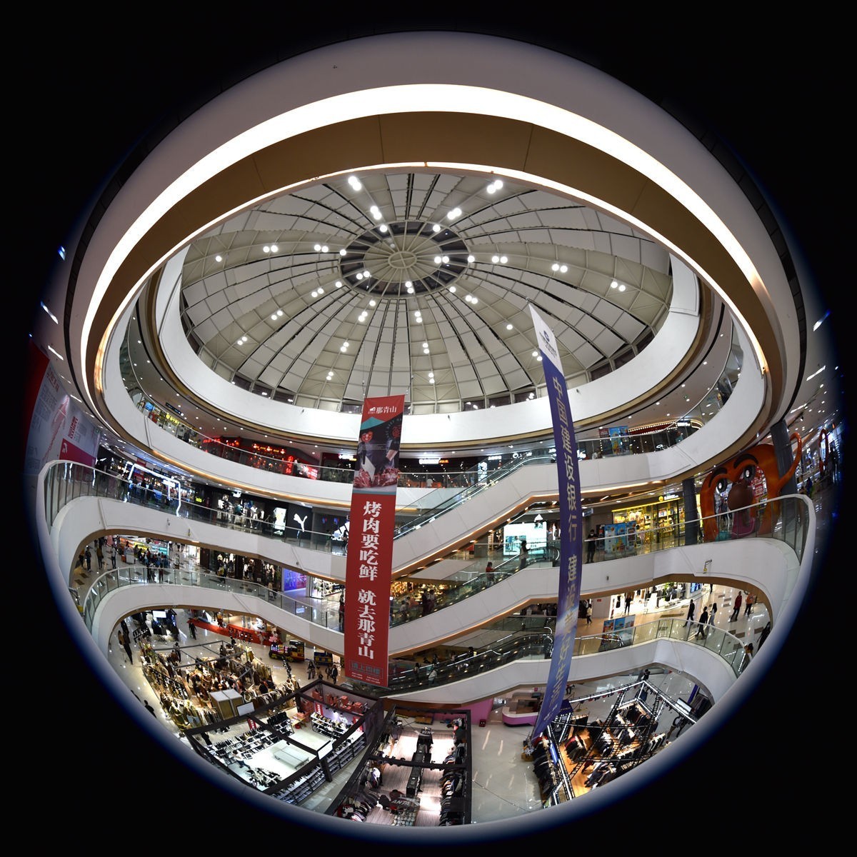 很小众但是很有趣的圆周鱼眼