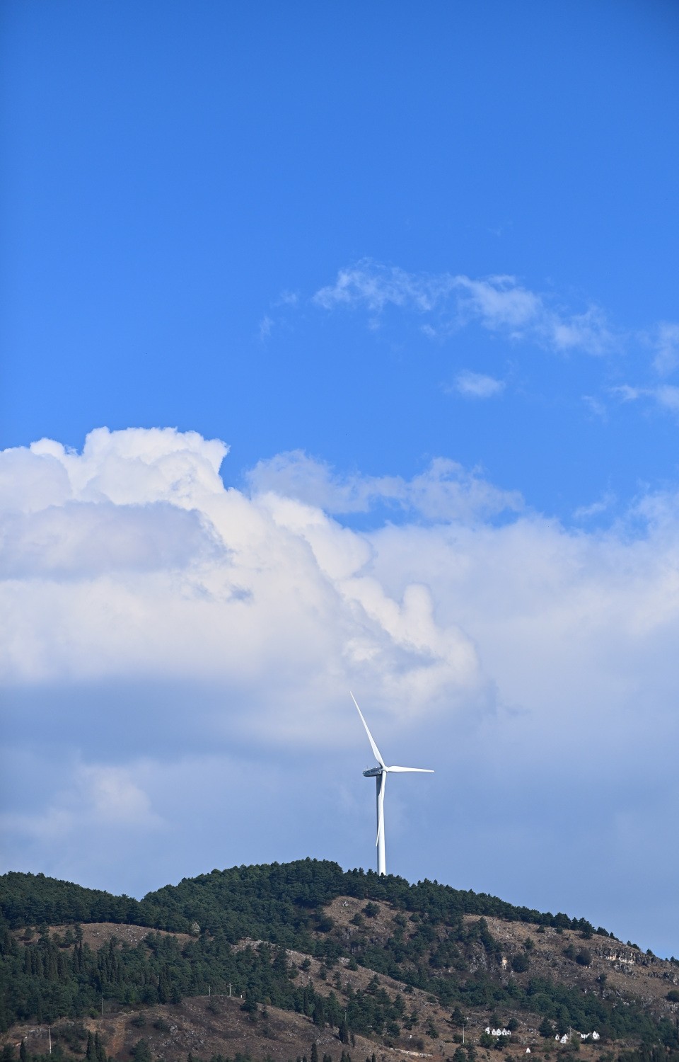 湿地公园春天的气息
