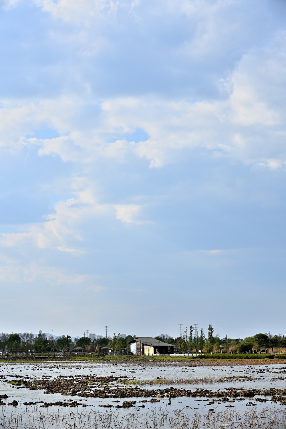 湿地公园春天的气息