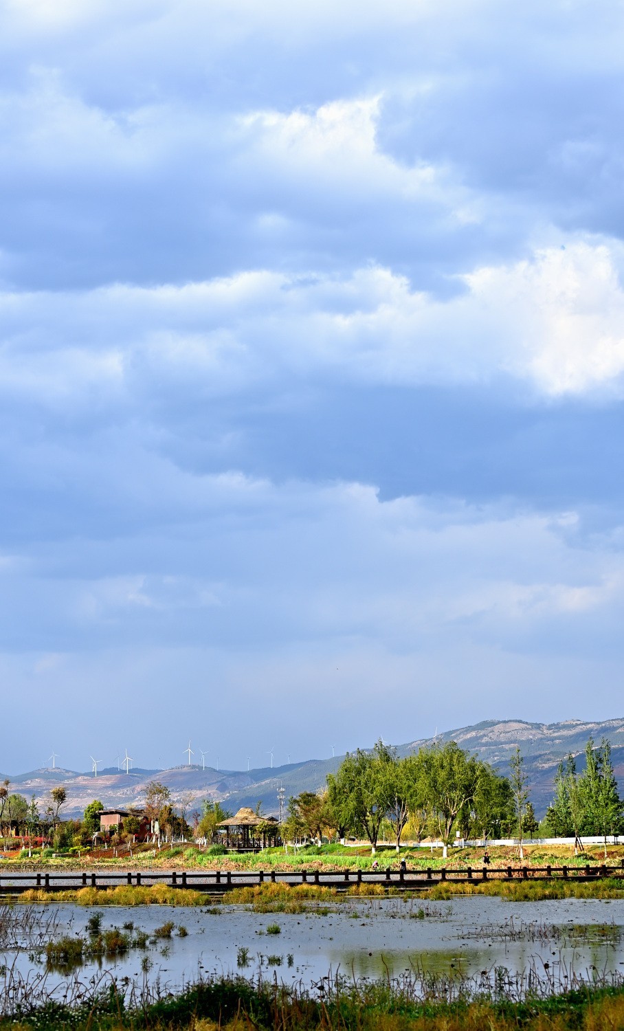 湿地公园春天的气息