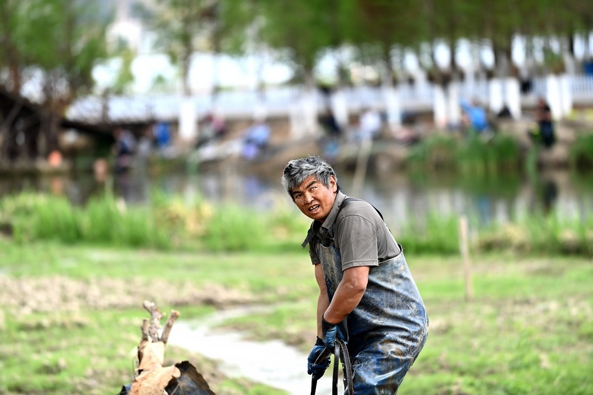 湿地公园之采莲人